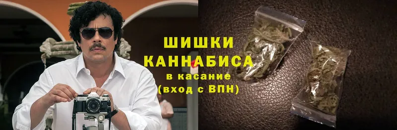 закладка  нарко площадка формула  Шишки марихуана SATIVA & INDICA  Новосибирск 